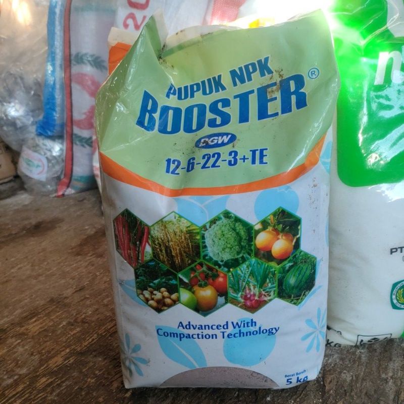 Pupuk NPK Booster 12 6 22 3 TE 5 Kg DGW