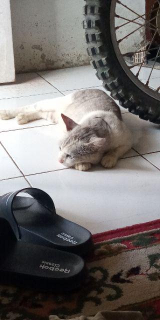 Ada Anak Termurah Shopashop_kebaya Brukat Batik Couple Murah Sarimbit Couple Batik Lamaran Kondangan