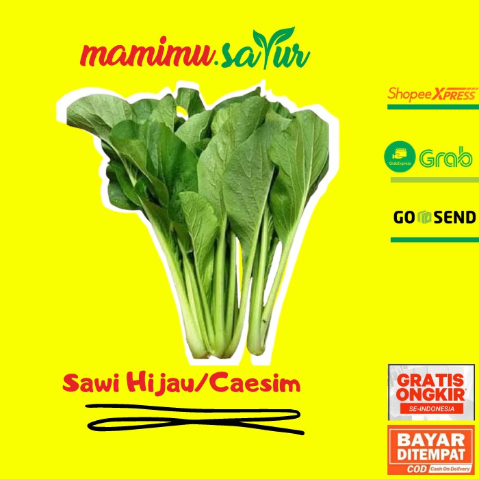 

SAWI HIJAU SAWI IJO SAWI CAESIM SAWI CAISIM SAWI CESIM SEGAR SAYUR SAYURAN SEGAR SAWI IJO SEGAR