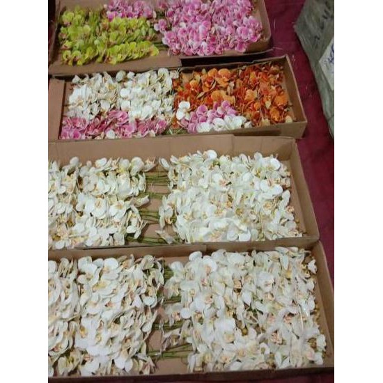 8.8 FLASH SHOP  Anggrek latek .,.,.,..,