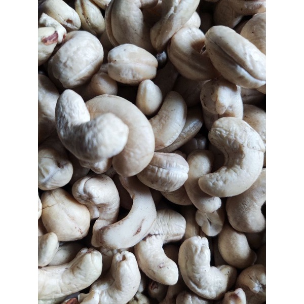 

kacang mede asli Sulawesi, buton Tengah. moko organik