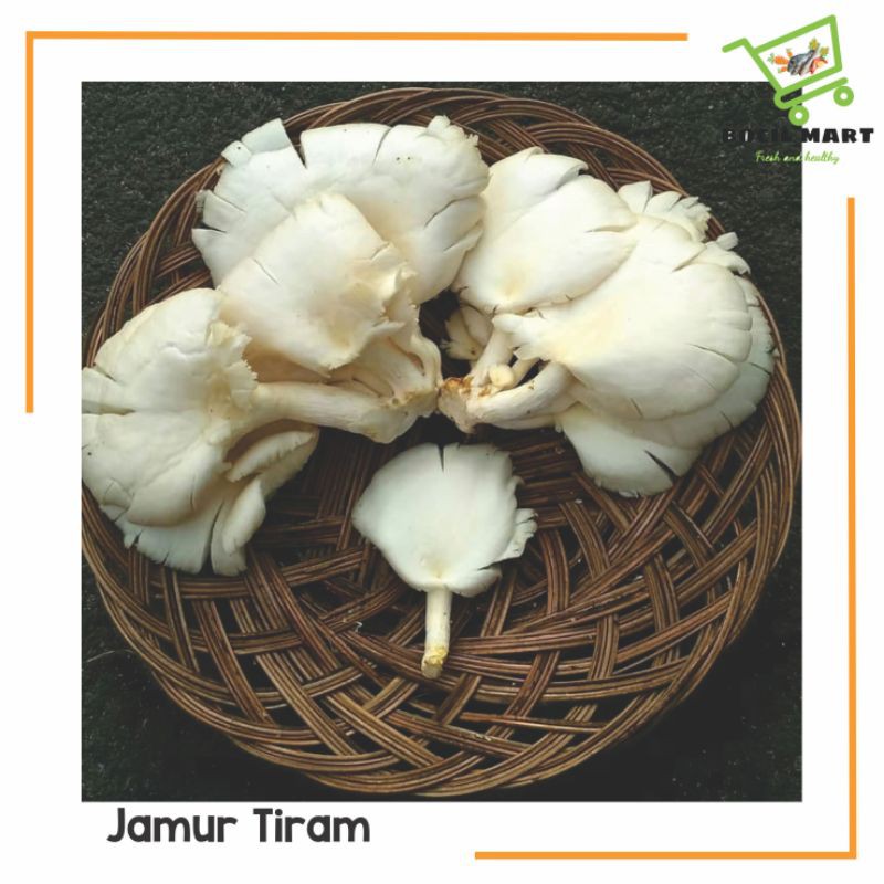 

[BOCIL MART] JAMUR TIRAM 1 PACK