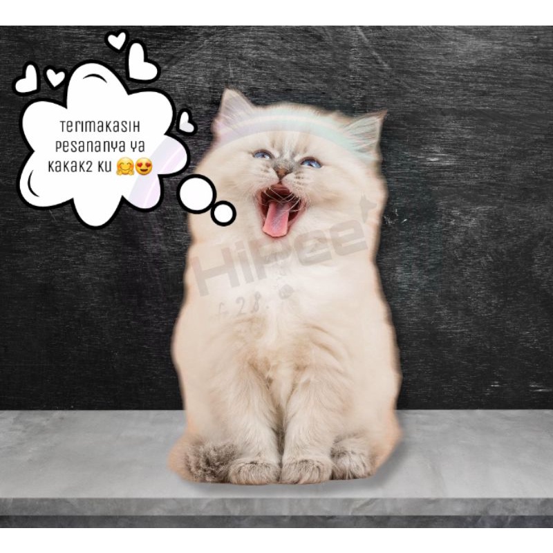 Penghilang Bau Kotoran Kucing Anjing 100 ML / Penghilang Bau kandang kucing anjing hamster / pengharum kandang kucing anjing hamster hewan / Pewangi pasir kucing / Desinfektan Kandang Hewan / Penghilang bau Pesing Kencing Kucing Anjing / Anti Bakteria