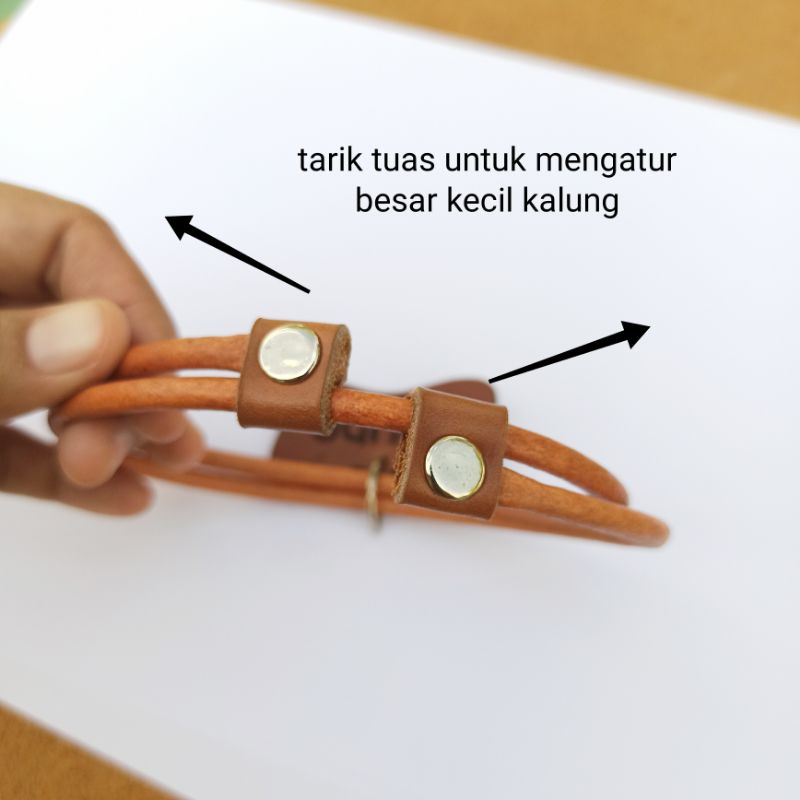 KALUNG ANJING BESAR KECIL NAMA CUSTOM KULIT ASLI ipet