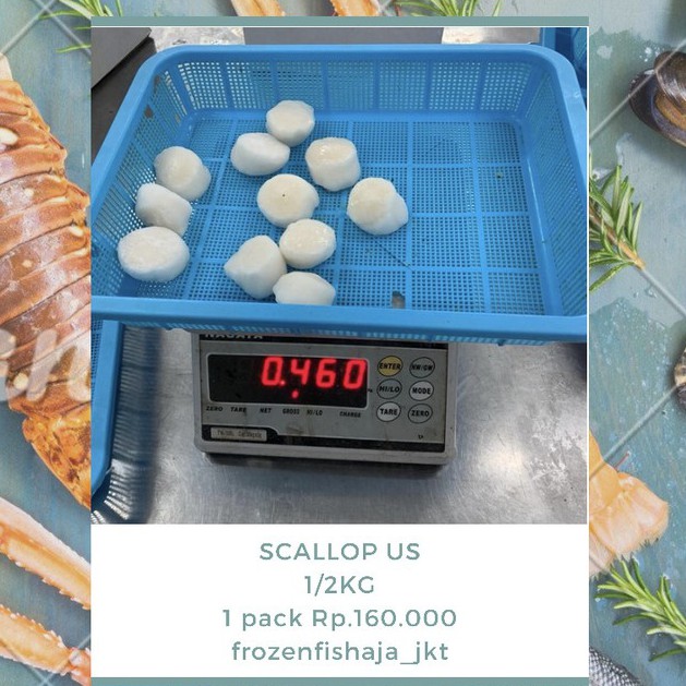 US SCALLOP SHELL OFF 500GRAM / KERANG KAMPAK / SCALLOP FROZEN