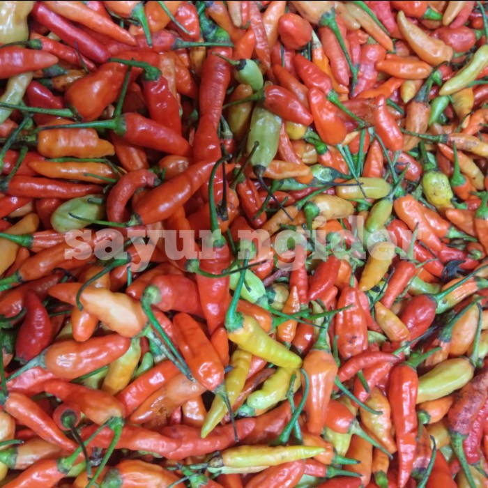 

Flash Sale - Cabai Rawit Merah/Cabe Setan Grade A 1Kg