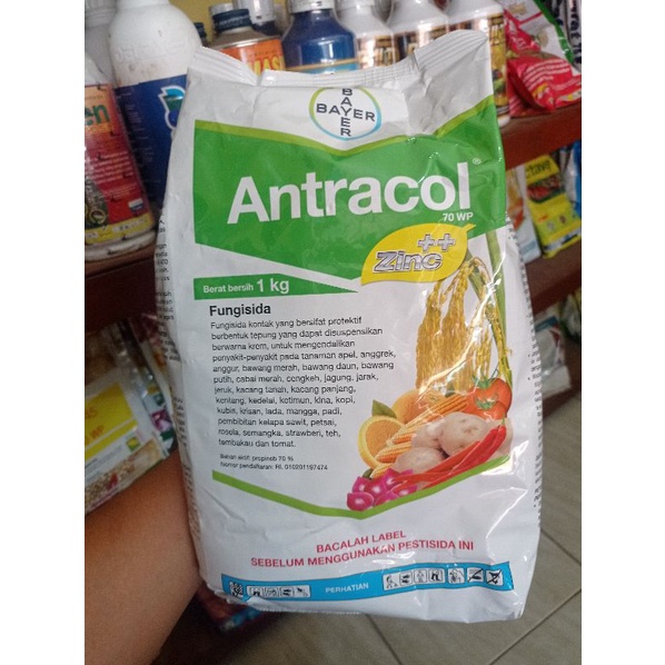 ANTRACOL 70WP 1KG