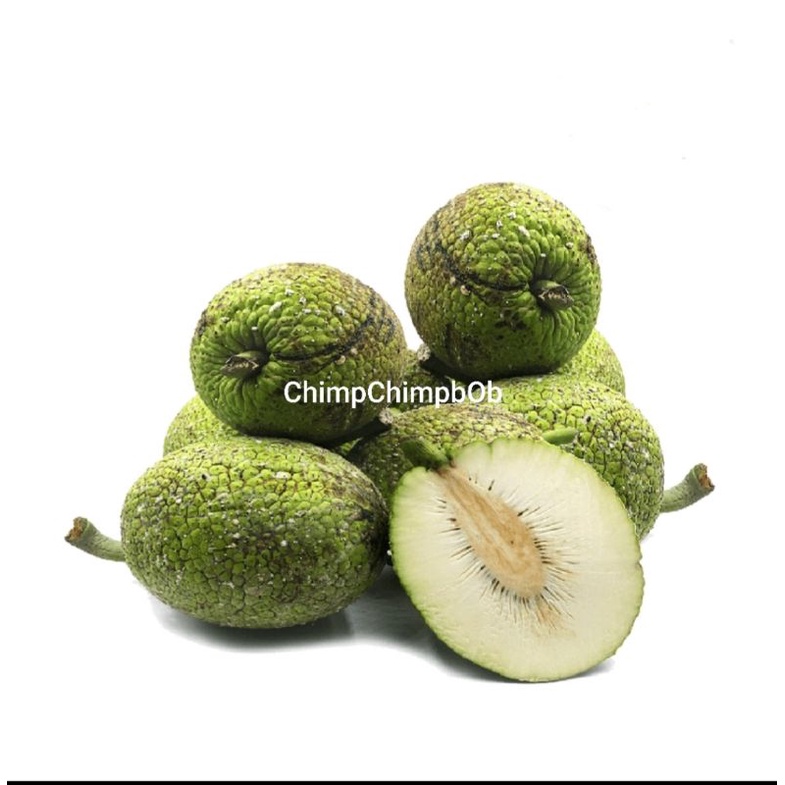 

BUAH SUKUN SEGAR / FRESH BREAD FRUIT