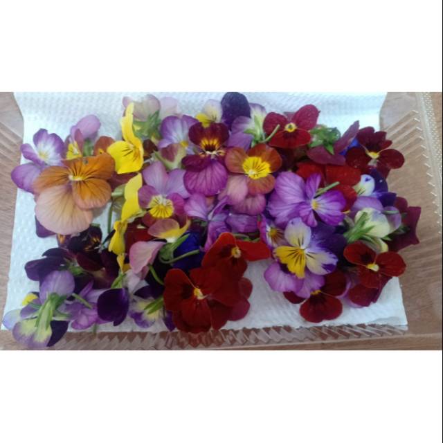 

Pansy flowers