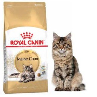 Royal Canin Maine coon adult 2kg makanan kucing Royal Canin