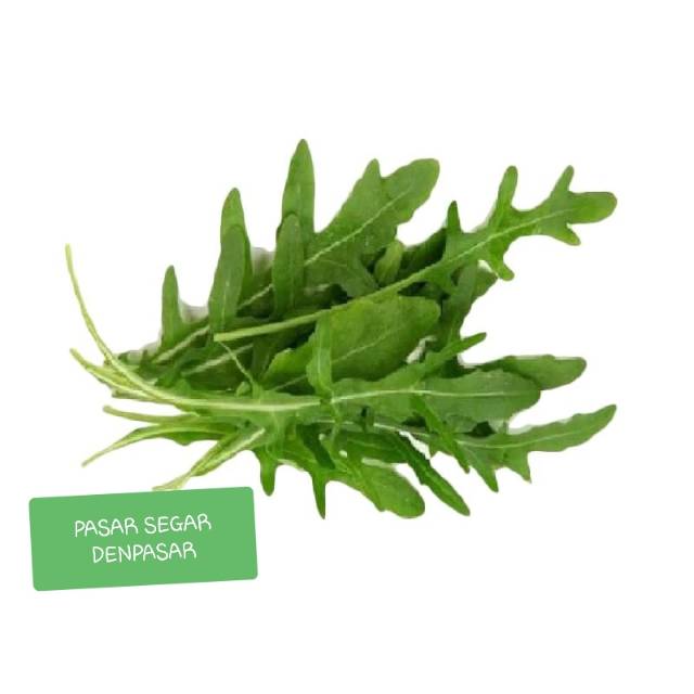 

WILD RUCOLA /100G