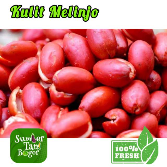 

KULIT MELINJO SEGAR PER PACK