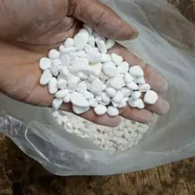 Batu koral putih kecil hiasan taman perkilo