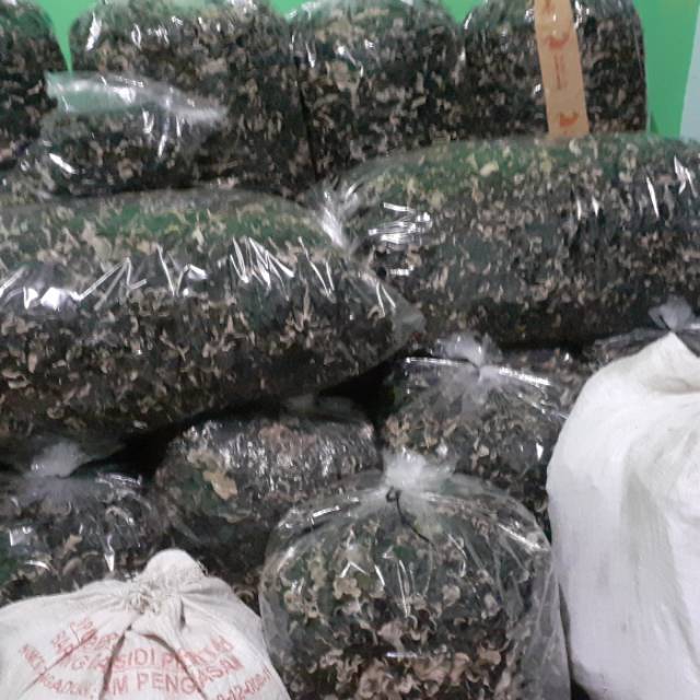 

Jamur kuping kering