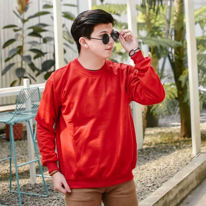 Basic sweater crewneck polos Olivee