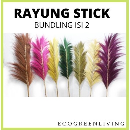 Rayung Stick / Bunga Kering / Dried flower / Bunga Hias / Natural Leaf Rayung Stick (Bundling isi 2)