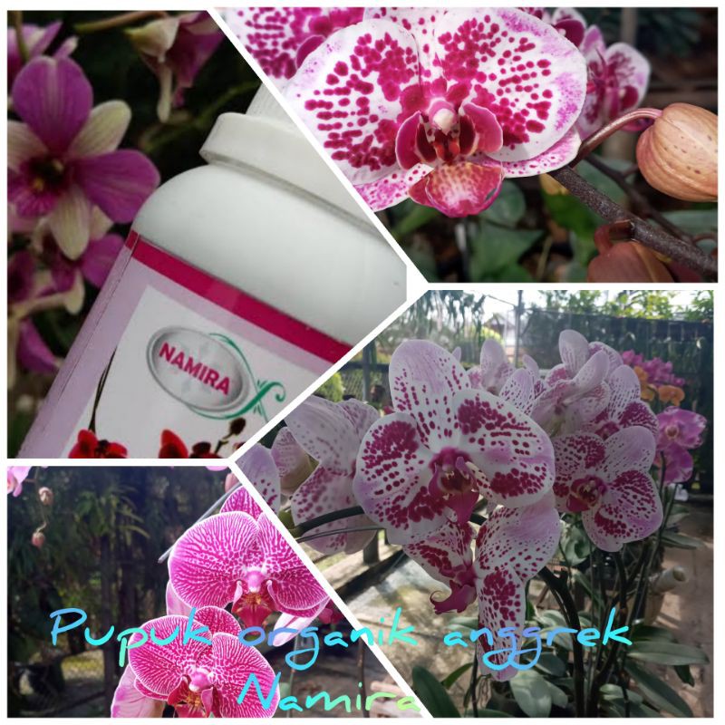 Pupuk Organik Cair Namira Untuk ANGGREK 100ml / Pupuk Cair Namira Anggrek