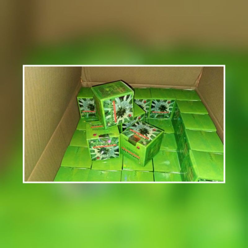 ORIGINAL KAPSUL GODONG IJO