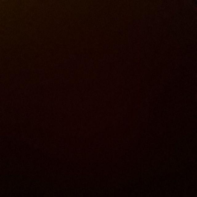 Selimut Lady Rose Finding Nemo 160x200