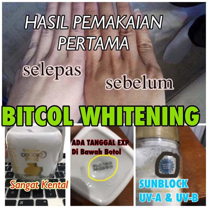 Asli Bibit Collagen Original CV Mecca Murah.