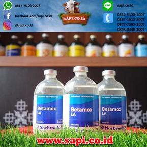 PALING DICARI Betamox LA [KODE 4801]