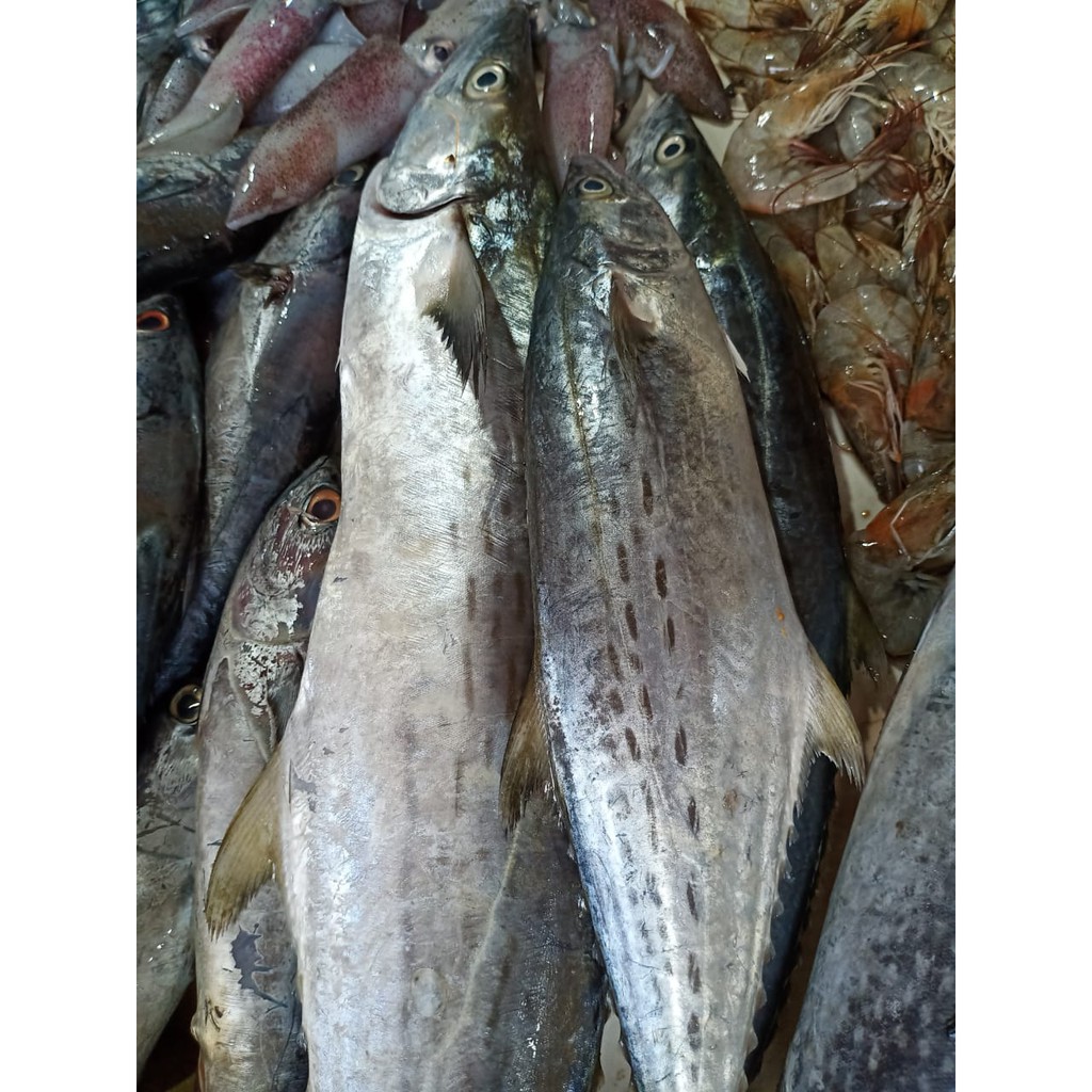 

Ikan Tengiri / 1kg