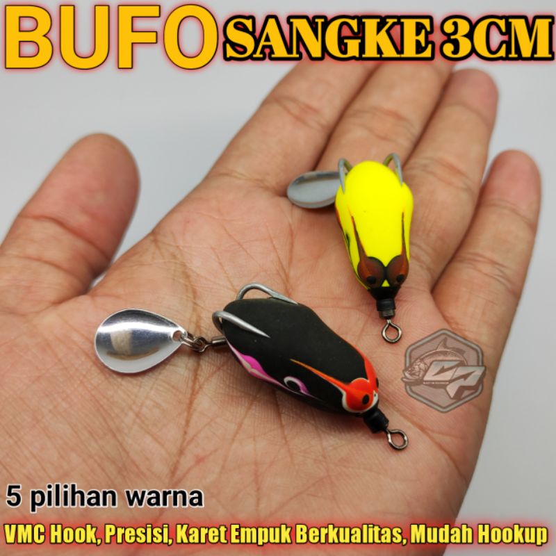 BUFO SANGKE / SOFT FROG / KODOK KODOKAN