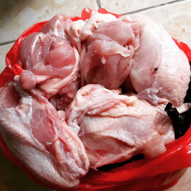 

Ayam Potong dengan Tulang