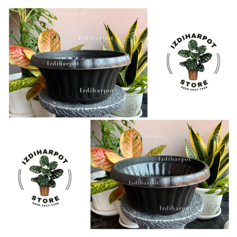 pot bunga tanaman bonsai glory 30 hitam tebal - BONSAI GLORY 30 HITAM