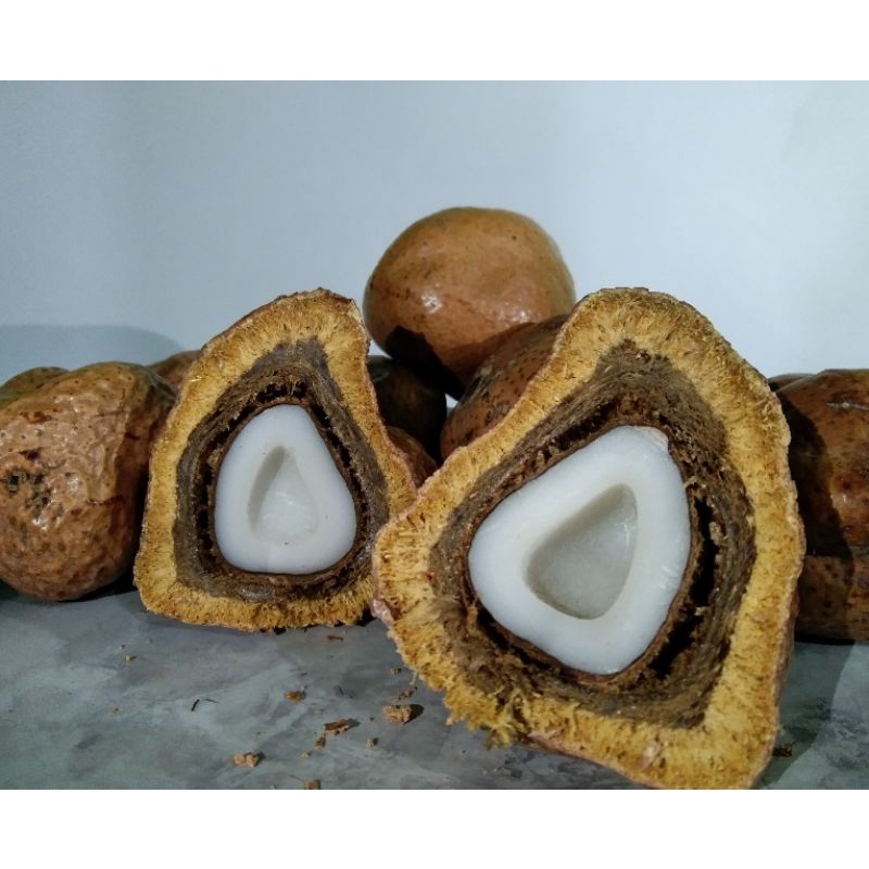

Buah Zuriat / Buah Promil