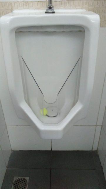 Mika Acrylic Protector Urinal Urinoir