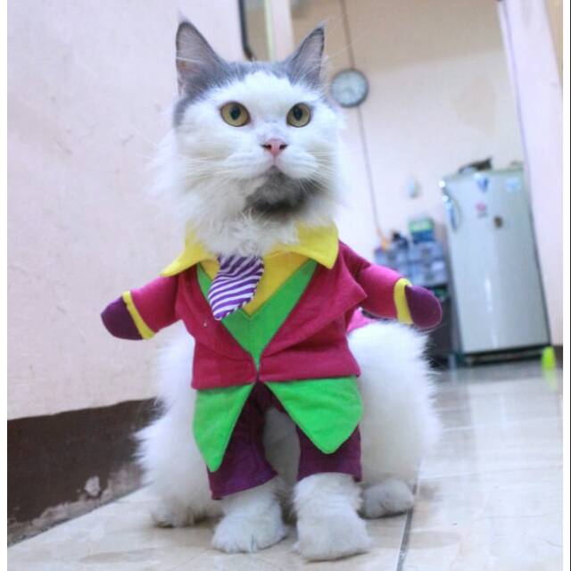 Kostum Joker hijau lucu untuk kucing dan anjing / baju kucing murah size S M L XL