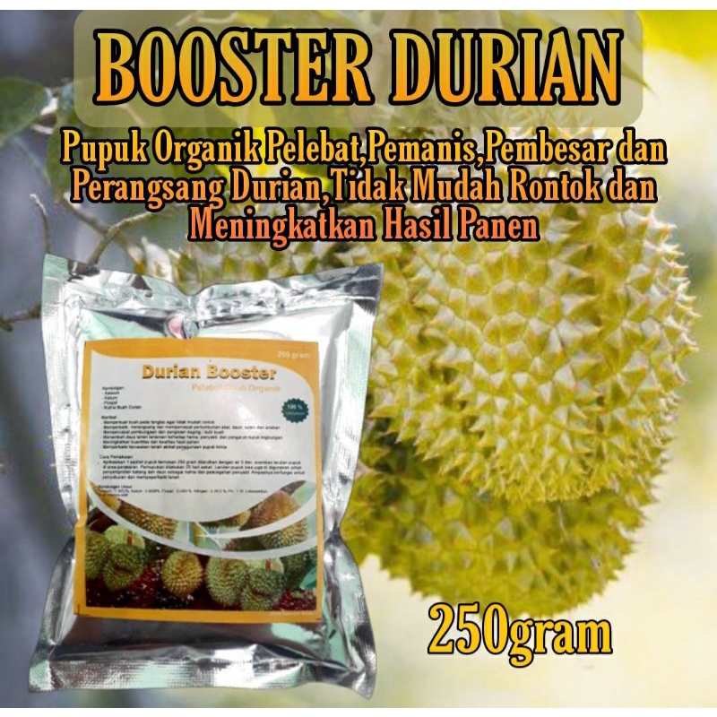 Pupuk Booster Organik Pelebat Buah Durian dan Pemacu Bunga dan Buah Durian Agar Cepat Berbuah Lebat