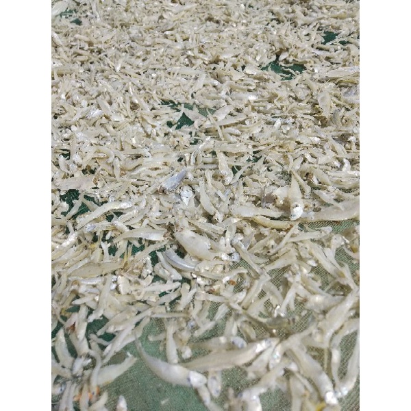 

Teri rebus asin. berat ¼ kg atau 250 gram