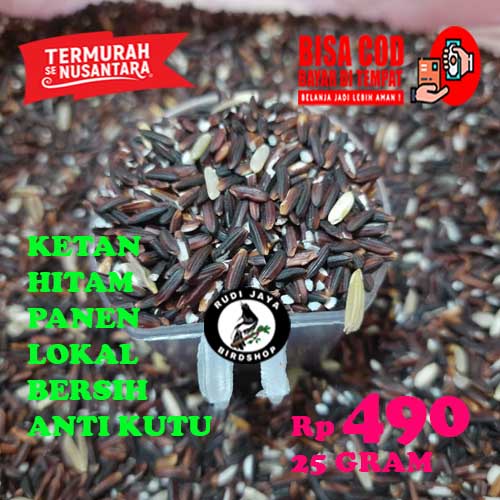 KETAN HITAM 50 GRAM BIJI KETAN PAKAN MAKANAN AYAM & BURUNG DERKUKU PERKUTUT ANGGUNGAN PUTER PELUNG