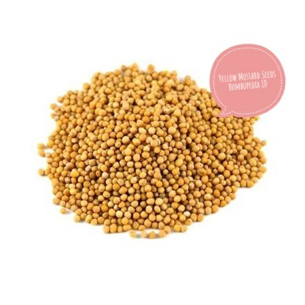 

Yellow Mustard Seeds/ Biji Sawi 250 Gram
