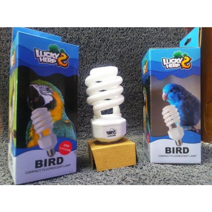 Lucky Herp Bird Lamp 2.4% UVB 20w - Lampu Burung