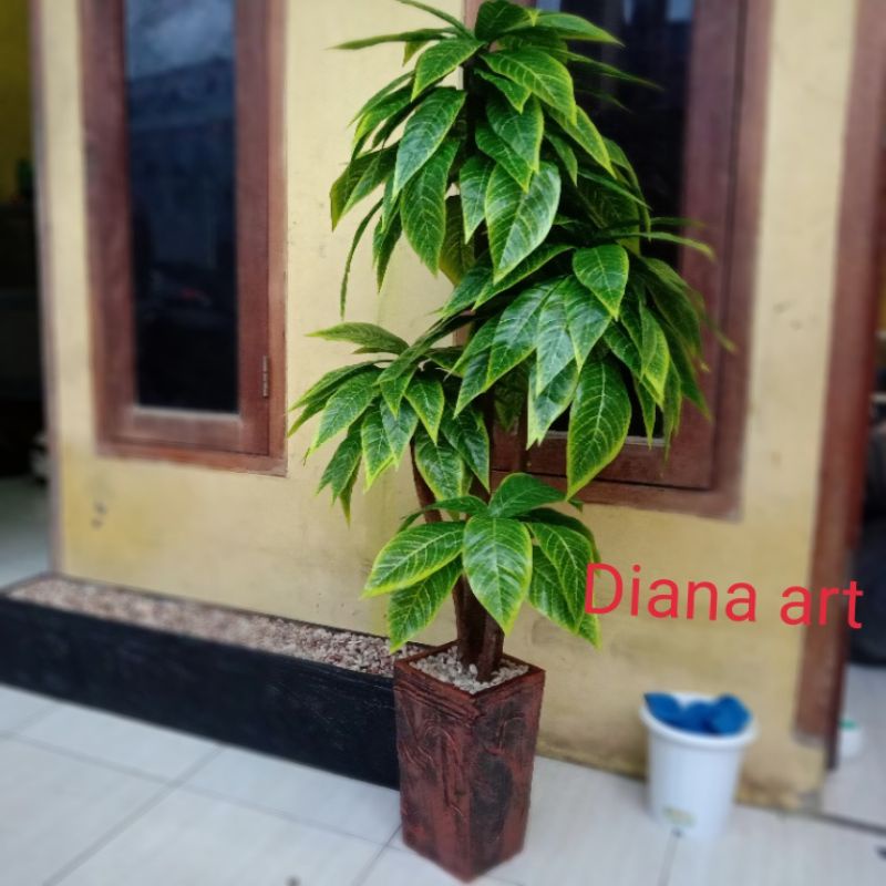 pohon mangga#daun golden lucky#pohon artificial#pohon bonsai#pohon besar#