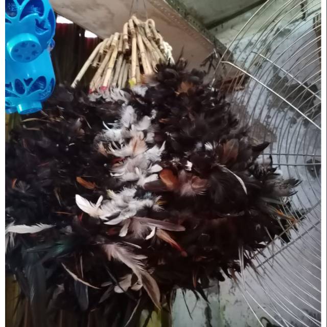 kemoceng bulu ayam hitam/pembersih debu/sapu debu