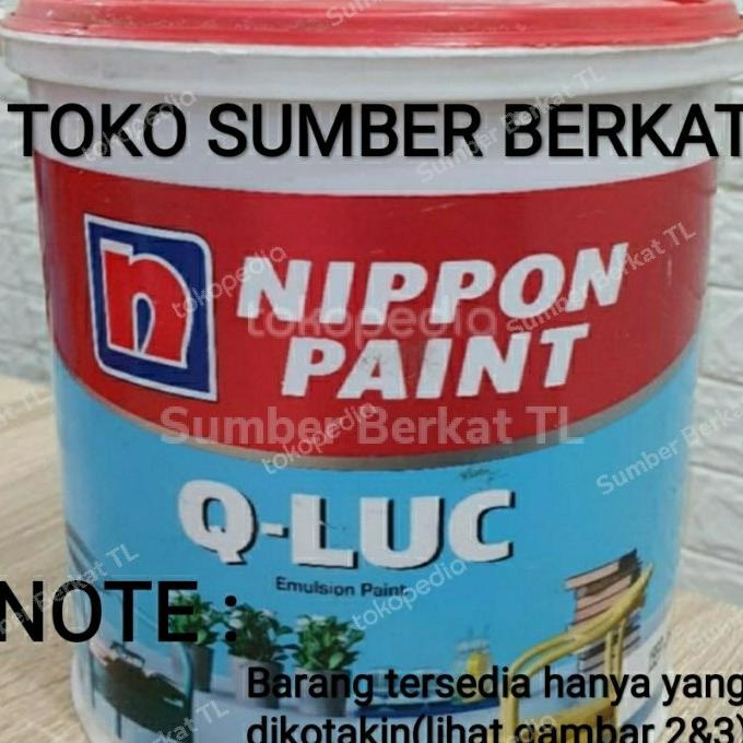 cat tembok q luc 5kg