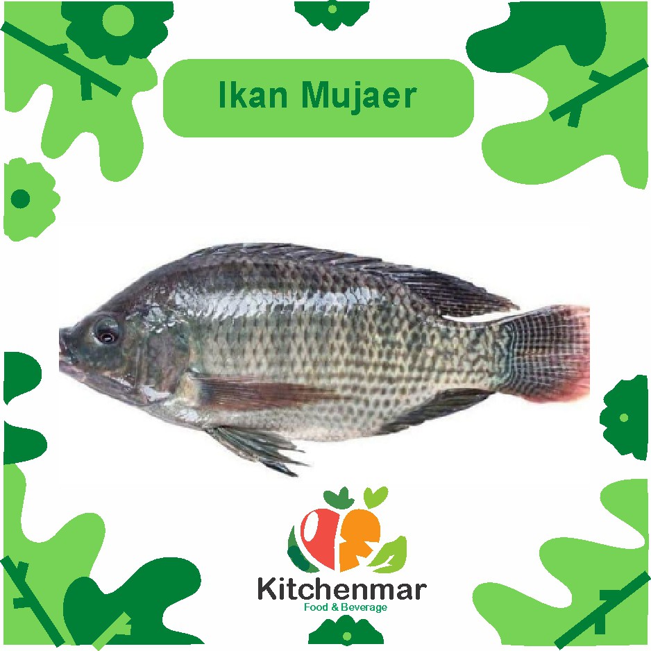 

Ikan Mujair Segar - 500 gram