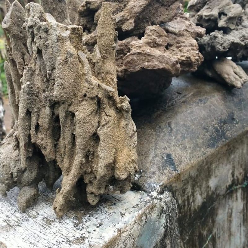 batu pasir aquascape sand stone