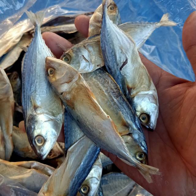 

Ikan peda