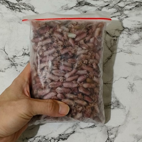 

Baby Cumi Asin Kering Grade B size 2cm-3cm