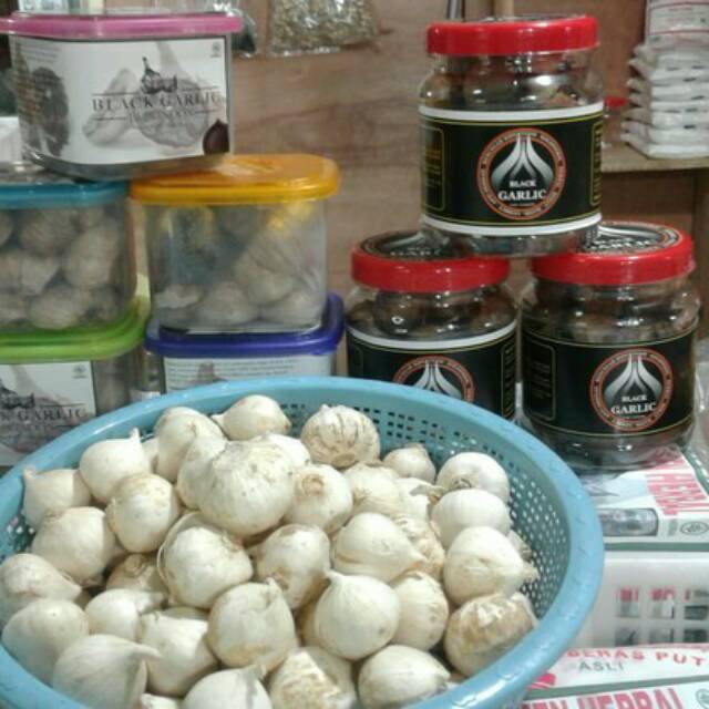 

Black garlic/ bawang putih Lanang