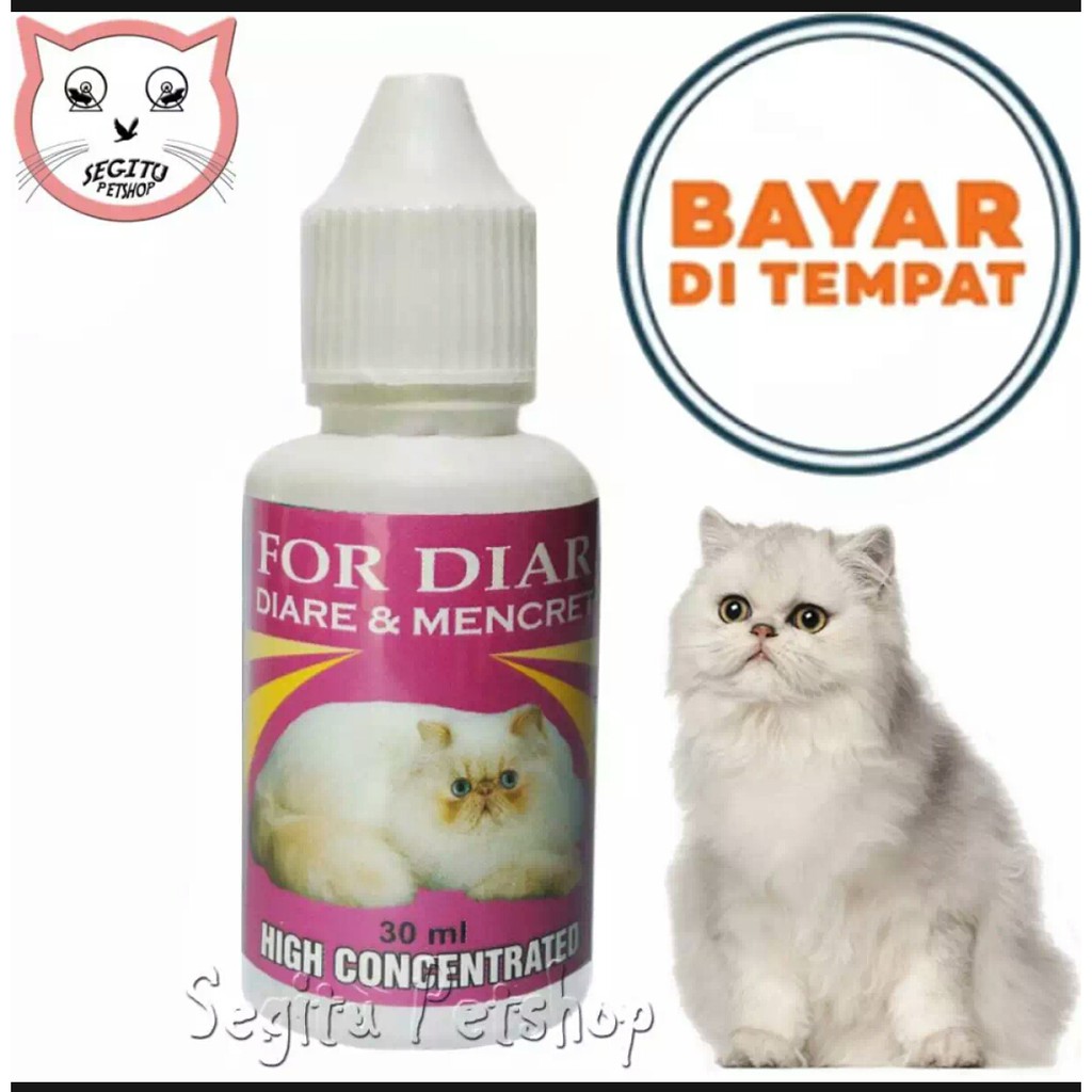 Obat kucing  Diare Mencret anjing dan hewan peliharaan lainnya