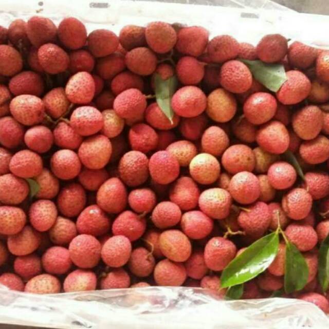 Buah Leci THAILAND Import Segar