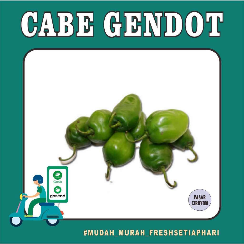 

CABE GENDOT FRESH MURAH BANDUNG