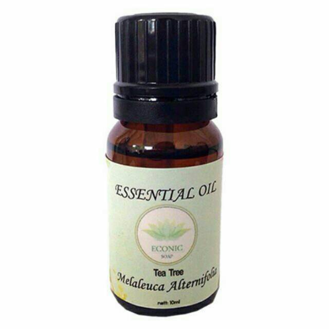 Tea Tree ( Melaleuca alternifolia) Essential Oil