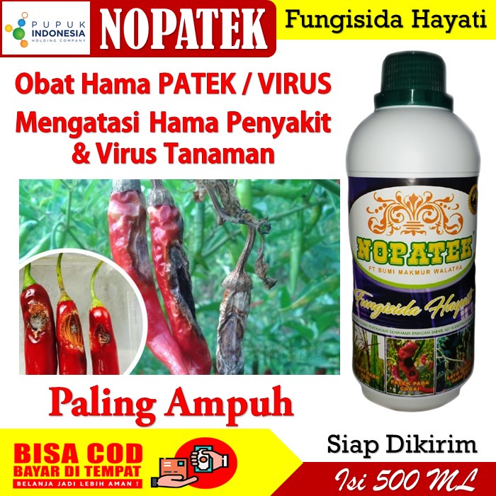 Nopatek Obat Hama Patek Virus Cabe paling Ampuh - Obat Cabe anti Patek Cabe - Nopatek Fungisida Haya